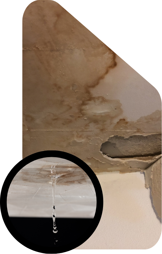 Roof Leak Detection - Roof Leaking Repair Sydney